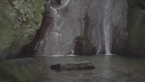 Waterfall in the rainforest slog2 Stock-Footage 82448848