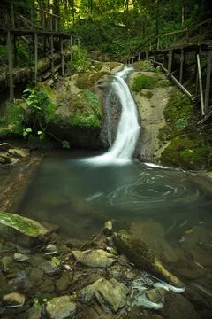 Waterfall in the rainforest. Stormy mountain river. Stock Photos