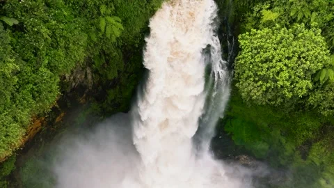 Waterfall in the rainforest. Sumatra, Indonesia. Stock Footage 241570857