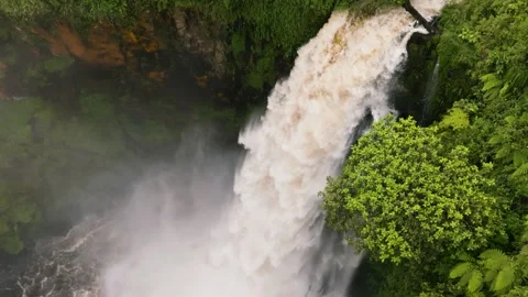 Waterfall in the rainforest. Sumatra, Indonesia. Stock Footage 241892246