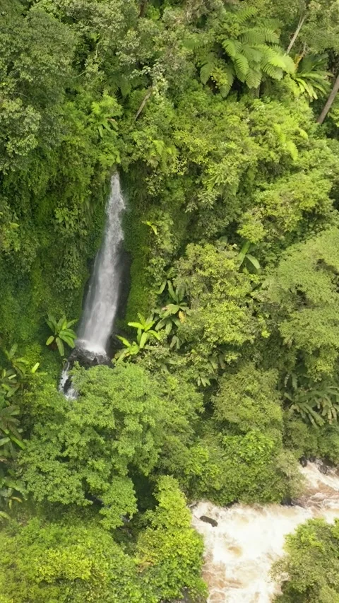Waterfall in the rainforest. Sumatra, Indonesia. Stock Footage 252252367