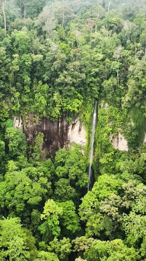 Waterfall in the rainforest. Sumatra, Indonesia. Stock Footage 252253525