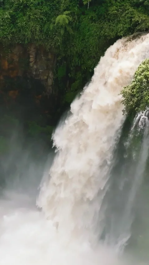 Waterfall in the rainforest. Sumatra, Indonesia. Stock Footage 252407107