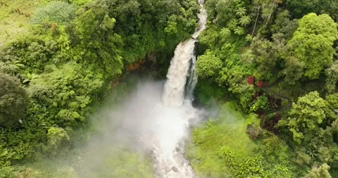 Waterfall in the rainforest. Sumatra, Indonesia. Stock Footage 289661964