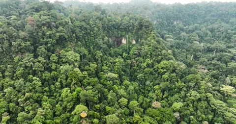Waterfall in the rainforest. Sumatra, Indonesia. Stock Footage 345396998