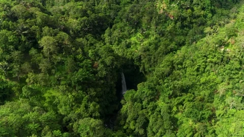 Waterfall in the rainforest. Video from the drone. Stock Footage 246877381