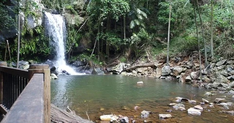 Waterfall in rainforest viewing area Mt Tamborine 4K Stock Footage 74778356