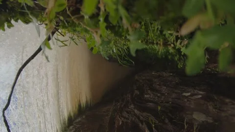 Waterfall of the rainforests of venezuela Stock Footage 146324740