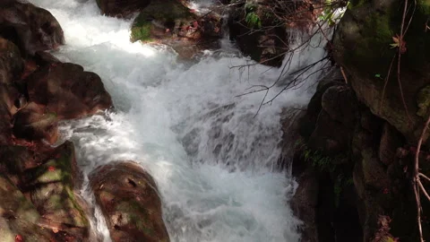 Waterfall Rapid Closeup Topview Natural White Brown Forest Stream 스톡 동영상 297864231