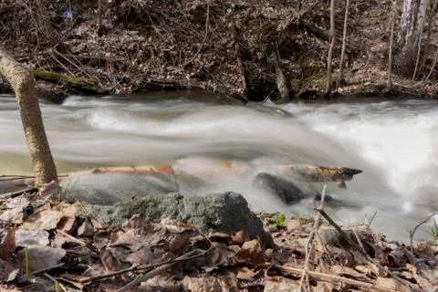 Waterfall Rapid flow of the river Long exposure photo Stock Photos