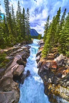 Waterfall Rapids Flowing Through Forest and Rocky Canyon with Mountain 写真素材