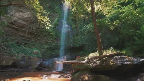 A waterfall with red water in the middle of the forest Stock Footage 131012245