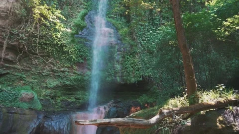 A waterfall with red water in the middle of the forest Stock Footage 131013627