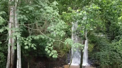 WaterFall Reveal through trees in the forest 動画素材 296874424