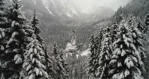 Waterfall revealed after fly through tall trees Stock Footage 102424374