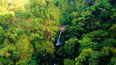 Waterfall at Rinjani Mountain Stock Footage 288840821
