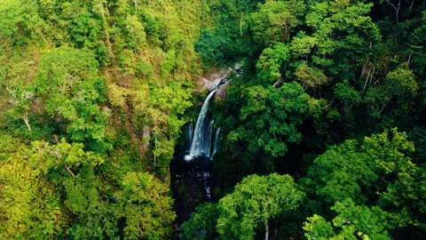 Waterfall at Rinjani Mountain 스톡 동영상 288840848