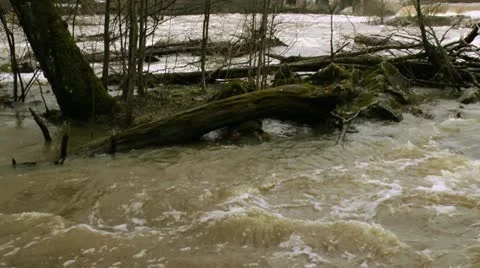 Waterfall in a river 5 Stock Footage 11400047