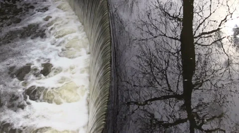 Waterfall on the river and the reflection of the Tree Stock Footage 36804391