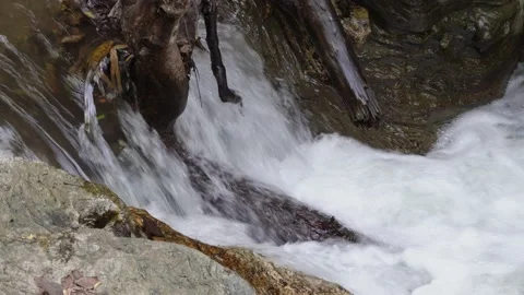 Waterfall river canal stream Stock Footage 232311760