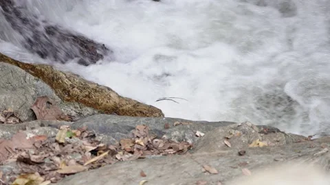 Waterfall river canal stream Stock Footage 232311826