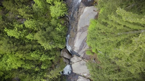 Waterfall on the river Cerna Desna Video stock 309203802