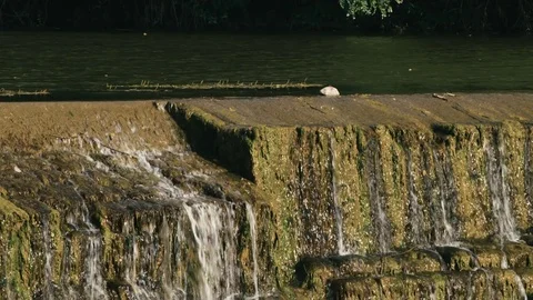 WATERFALL RIVER Vidéo 84221774