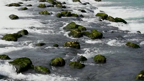 Waterfall on the river. Stock Footage 168989508