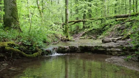 Waterfall on river Ilse in forest Stock Footage 169479231