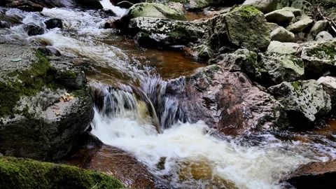 Waterfall on river Ilse in forest Harz, Germany Vidéo 169462493