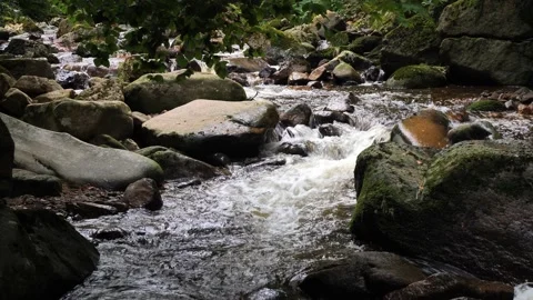 Waterfall on river Ilse in forest Harz, Germany Vidéo 169463195