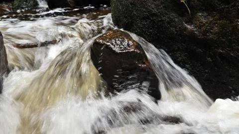 Waterfall on river Ilse in forest Harz, Germany Видео 169463984