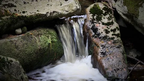 Waterfall on river Ilse in forest Harz, Germany Видео 169475573