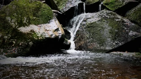 Waterfall on river Ilse in forest Harz, Germany Stock Footage 169475577