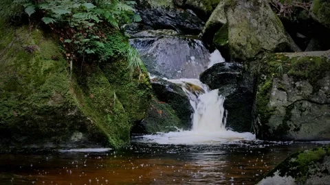 Waterfall on river Ilse in forest Harz, Germany Stockbeeldmateriaal 169475578