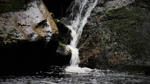 Waterfall on river Ilse in forest Harz, Germany Видео 169475895
