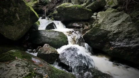 Waterfall on river Ilse in forest Harz, Germany Видео 169476413
