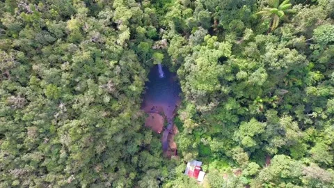 Waterfall river mountain forest spring sun sunset Vidéo 222905292