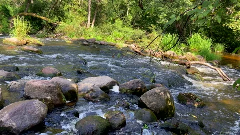 Waterfall from river. Mountain river with a waterfall and stones in lake. Stock-Footage 218644929