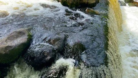 Waterfall from river. Mountain river with a waterfall and stones in lake. 스톡 동영상 218655117