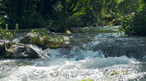 Waterfall, river, mountains, nature. Crimea Stock-Footage 25504968