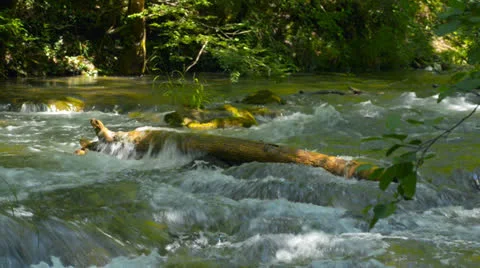 Waterfall, river, mountains, nature. Stock Footage 25574302