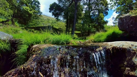 Waterfall from the river in the mountains. Streamflow on the rocks. Fresh water Stock-Footage 156033829