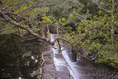 Waterfall in a river parallel to a walk Stock Photos