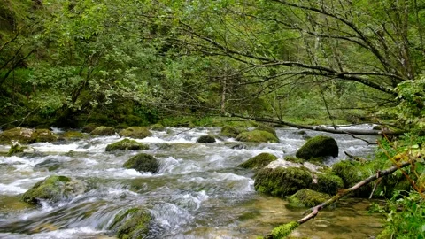 Waterfall at river piessling Stock Footage 138529725