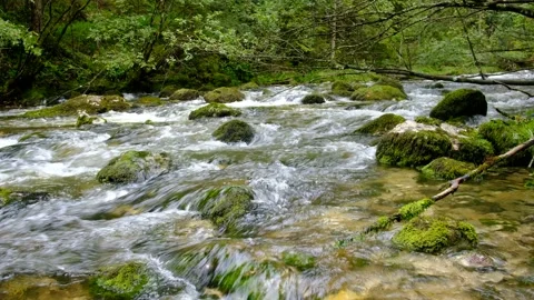 Waterfall at river piessling Stock Footage 138529754