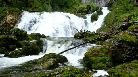 Waterfall at river piessling Vidéo 138530050