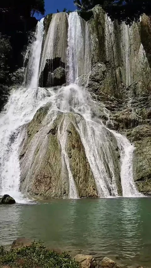 Waterfall at River in the Rain Forest Stock Footage 312270065
