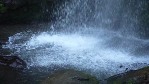 Waterfall river rocks covered with green moss forest waterfall. Stock Footage 239773842