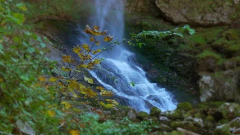 Waterfall River Stream in Beautiful Nature Landscape Scenery Stock Footage 168094913